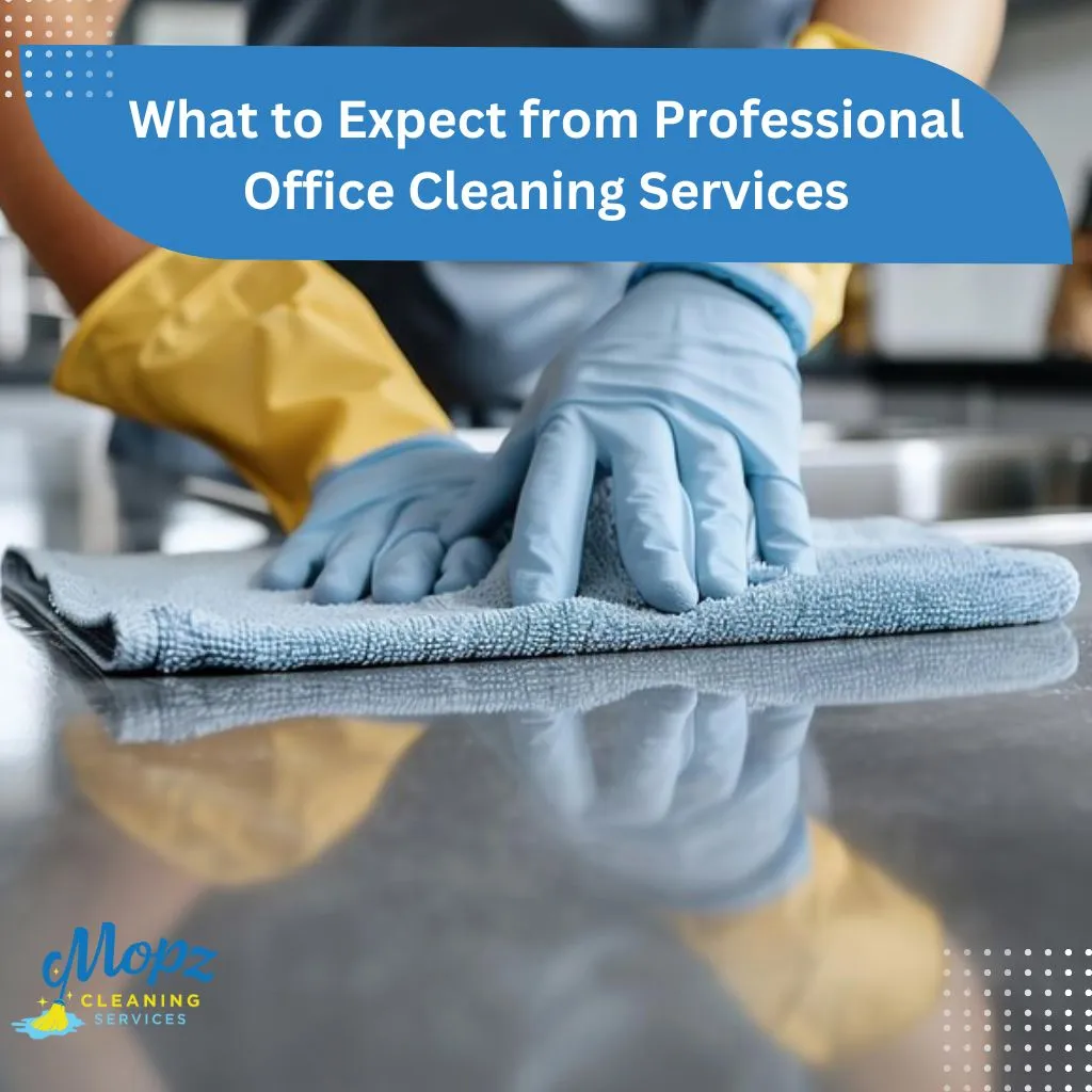 Professional Office Cleaning Services