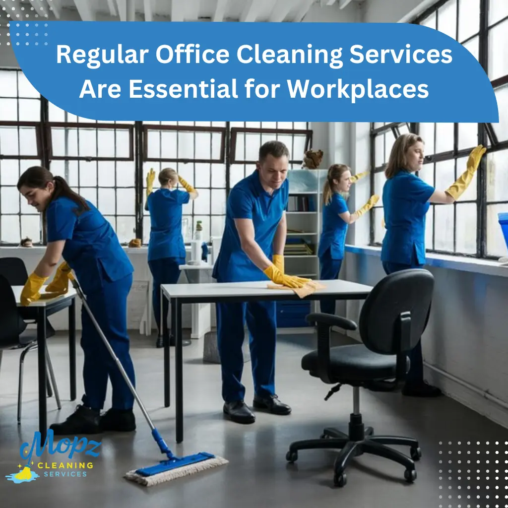 Regular Office Cleaning Services