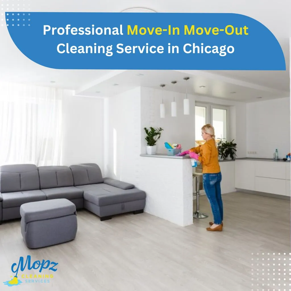 Move In & Move Out Cleaning